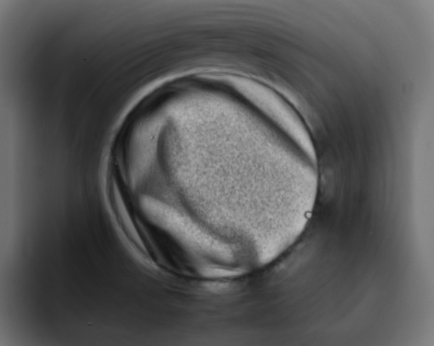 X0000092061523200710031051