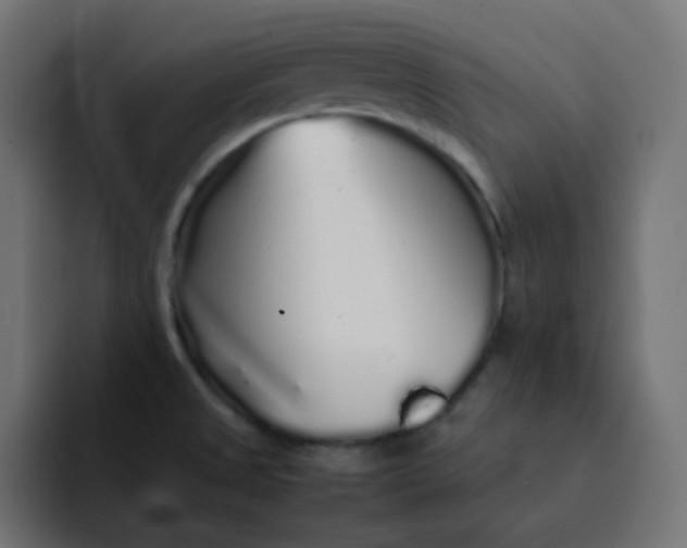 X0000092061525200710031051