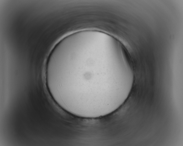 X0000092061526200710031051