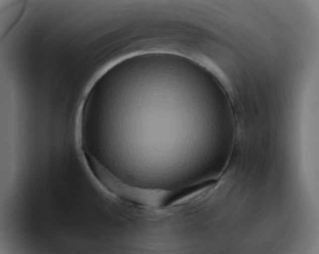 X0000092061528200710031051