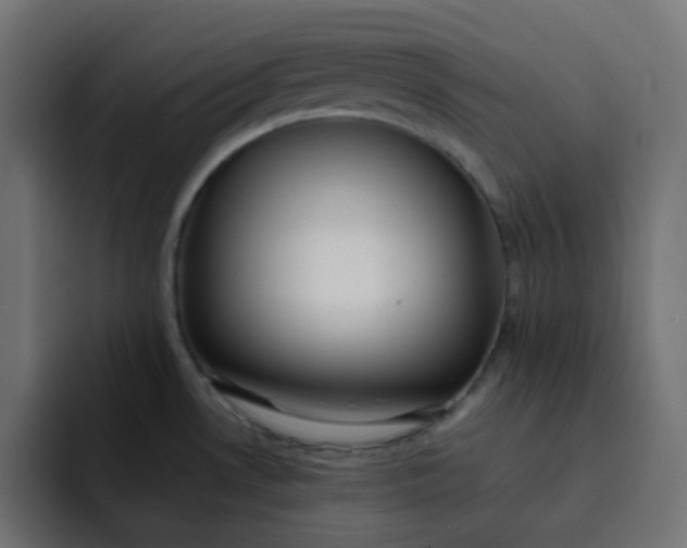 X0000092061530200710031051