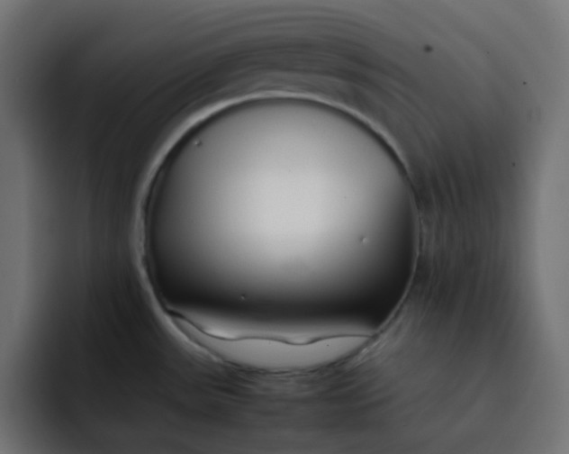 X0000092061531200710031051