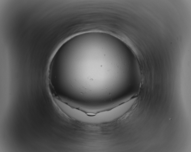 X0000092061532200710031051