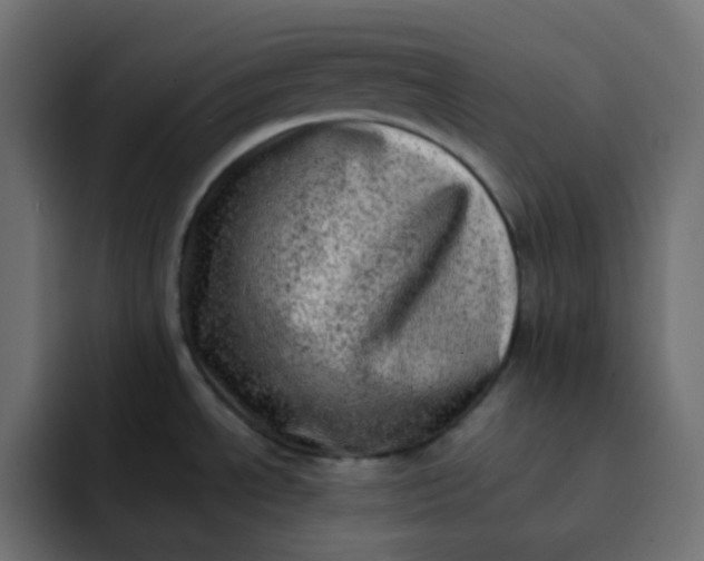 X0000092061534200710031051