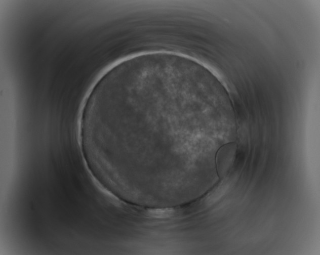 X0000092061535200710031051