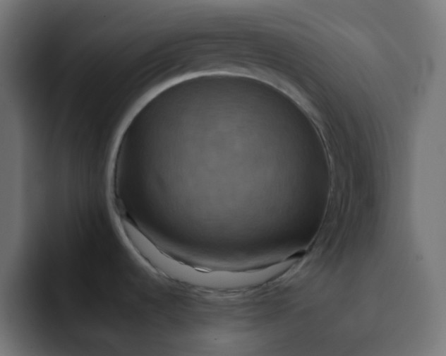 X0000092061536200710031051