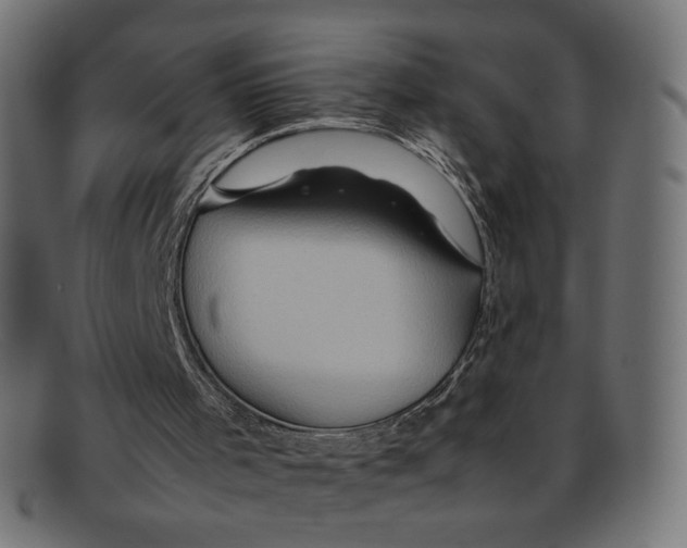 X0000092060001200710101042