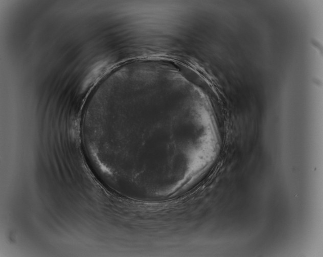 X0000092060002200710101042