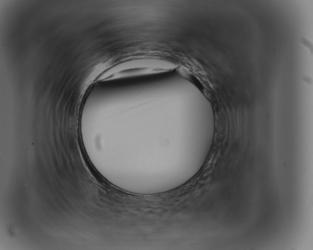 X0000092060003200710101042