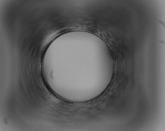 X0000092060005200710101042