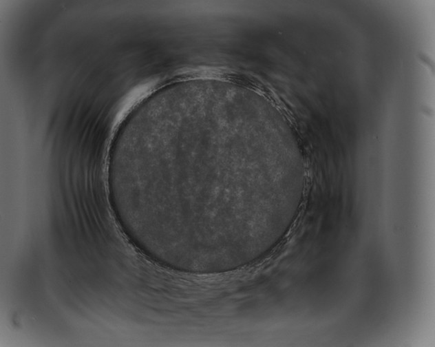 X0000092060006200710101042