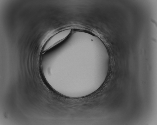 X0000092060007200710101042