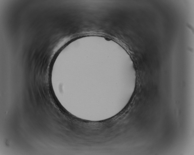 X0000092060008200710101042