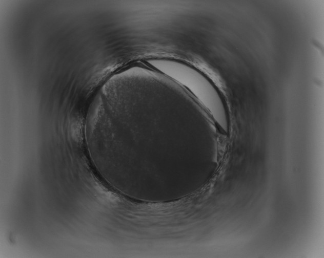 X0000092060009200710101042