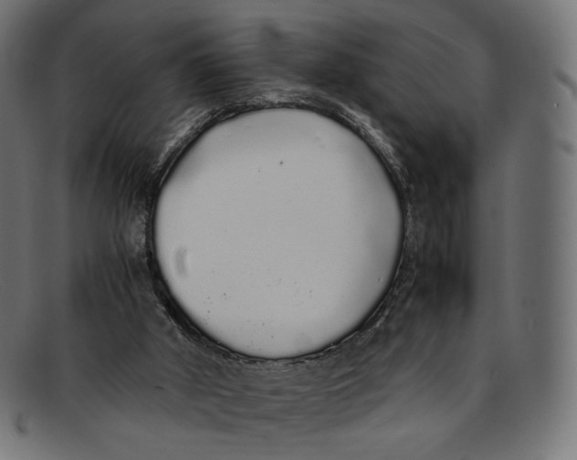 X0000092060010200710101042