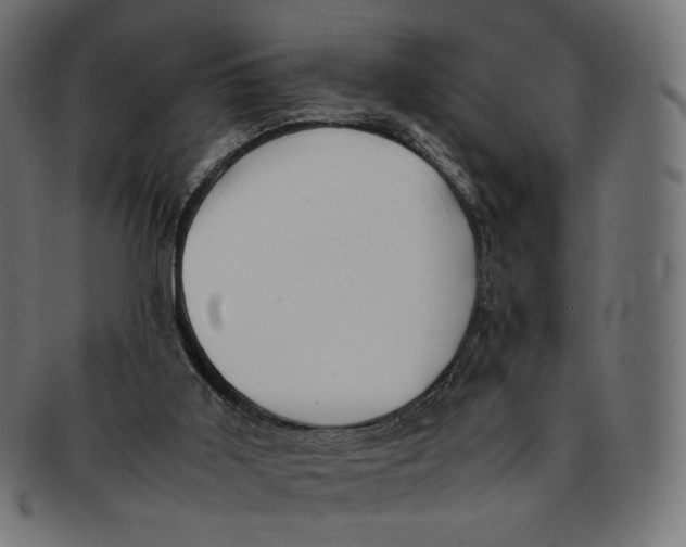 X0000092060011200710101042