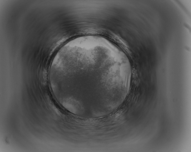 X0000092060012200710101042