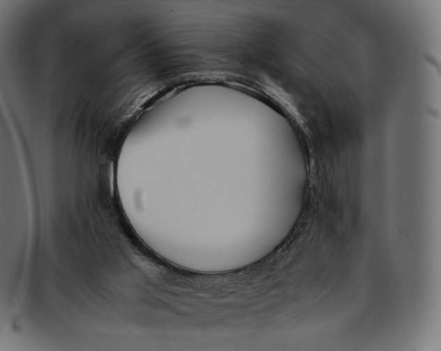 X0000092060013200710101042