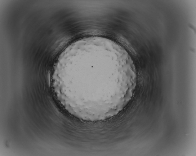 X0000092060014200710101042