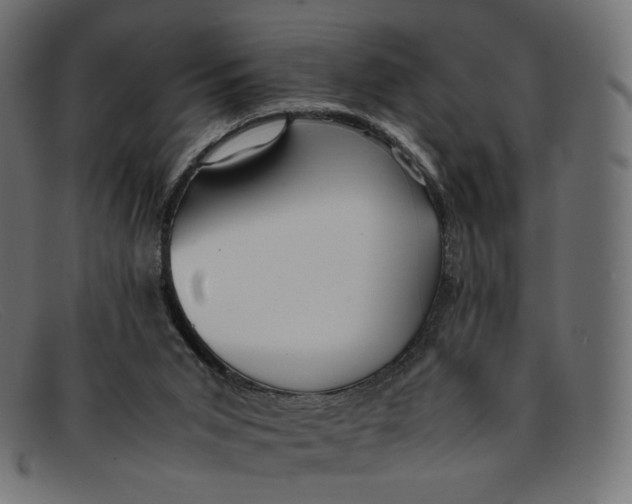 X0000092060015200710101042