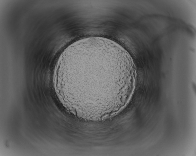 X0000092060016200710101042