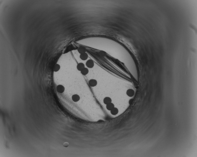 X0000092060017200710101042