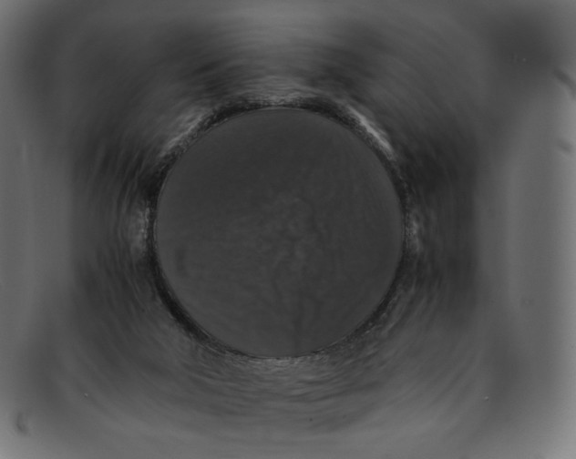 X0000092060018200710101042