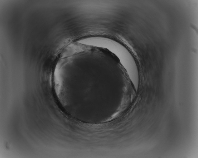 X0000092060019200710101042