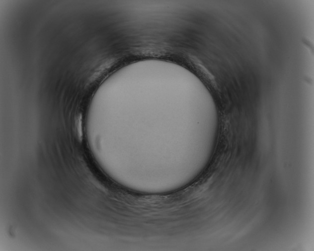 X0000092060020200710101042