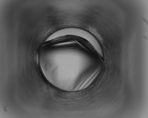 X0000092060021200710101042