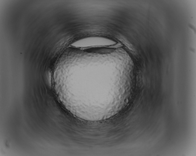 X0000092060022200710101042