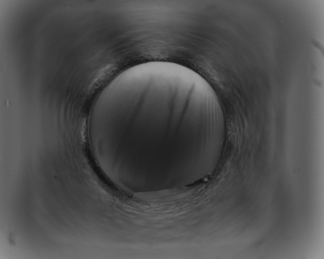 X0000092060023200710101042