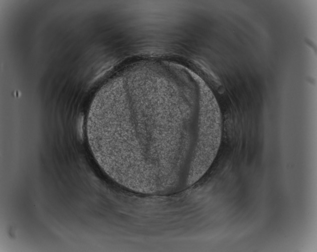 X0000092060024200710101042