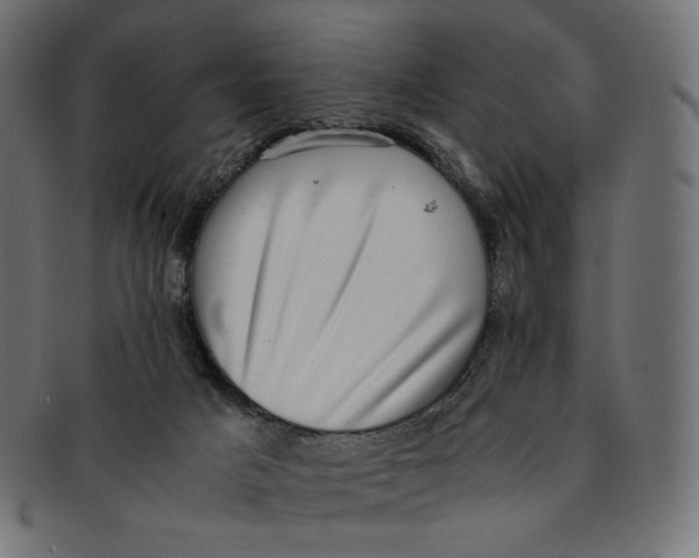 X0000092060025200710101042