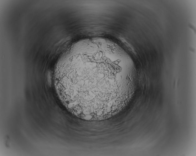 X0000092060026200710101042