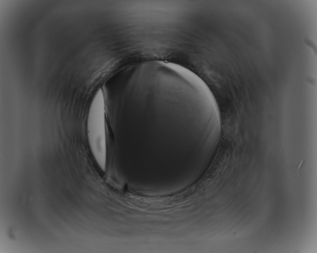 X0000092060027200710101042