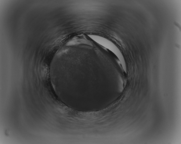 X0000092060029200710101042