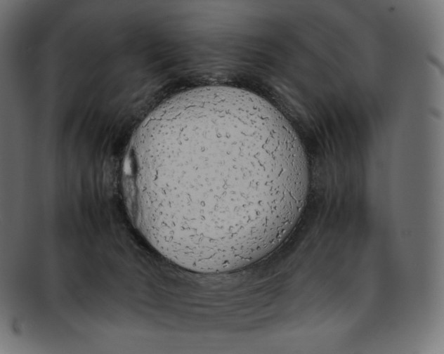 X0000092060030200710101042