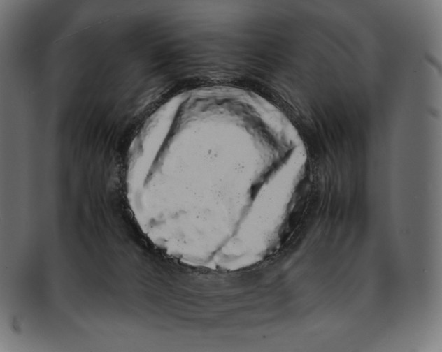 X0000092060032200710101042