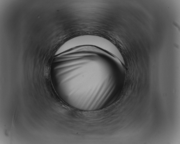 X0000092060033200710101042