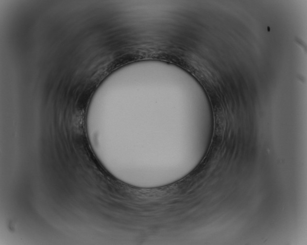 X0000092060034200710101042