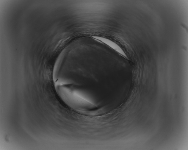 X0000092060035200710101042