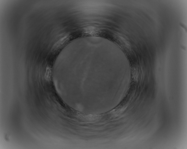 X0000092060036200710101042