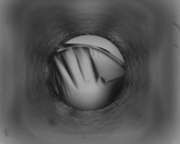 X0000092060037200710101042