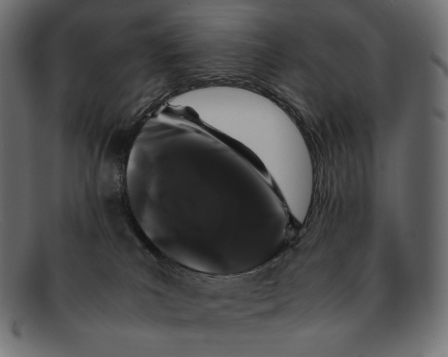 X0000092060039200710101042