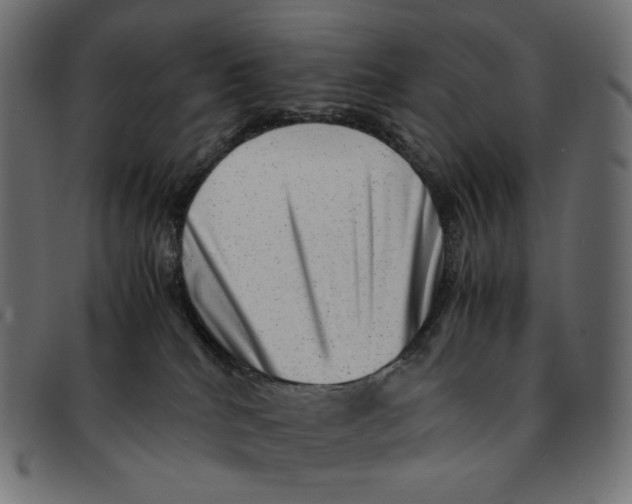 X0000092060040200710101042