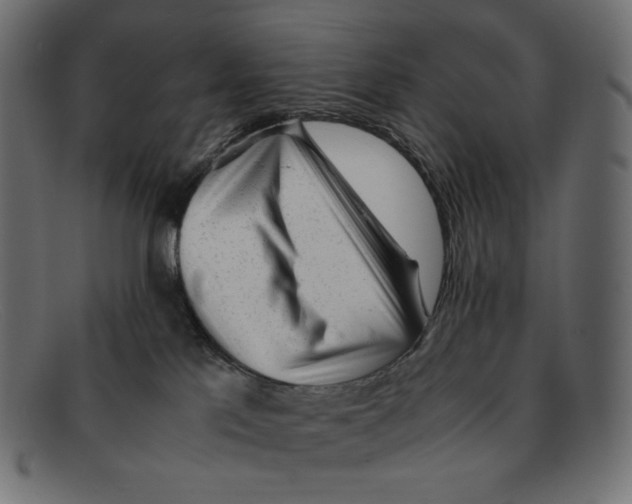 X0000092060041200710101042