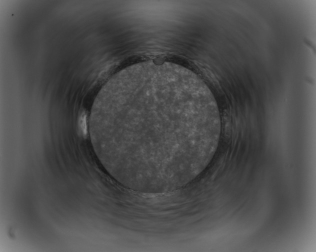 X0000092060042200710101042