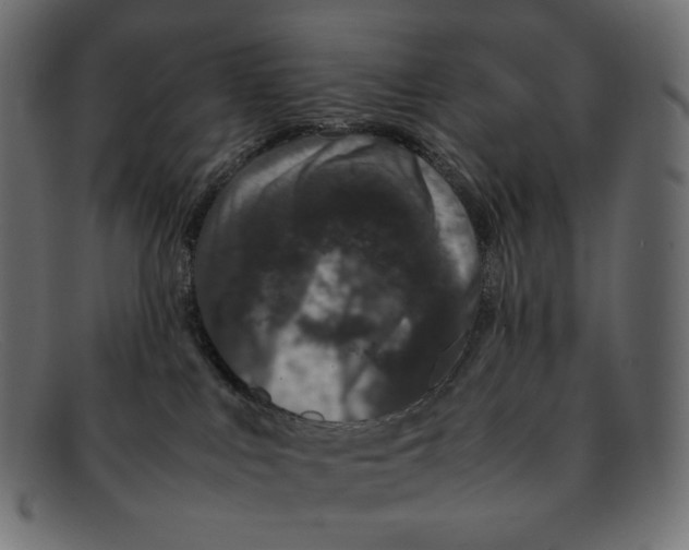 X0000092060043200710101042