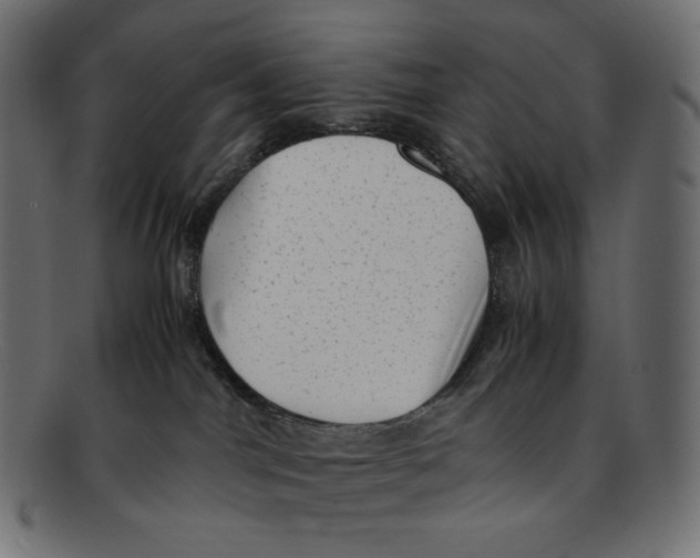 X0000092060044200710101042